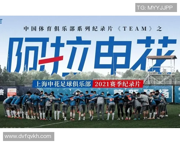 足球球星纪录片在线观看推荐平台及下载途径汇总